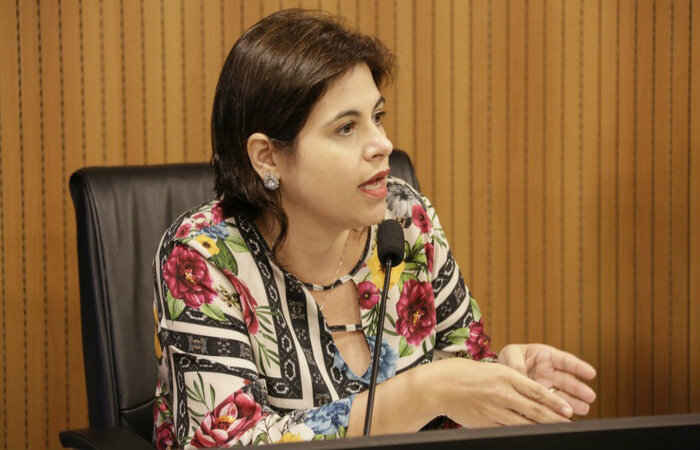 /Foto: Divulgação - Alepe /Foto: Divulgação - Alepe
