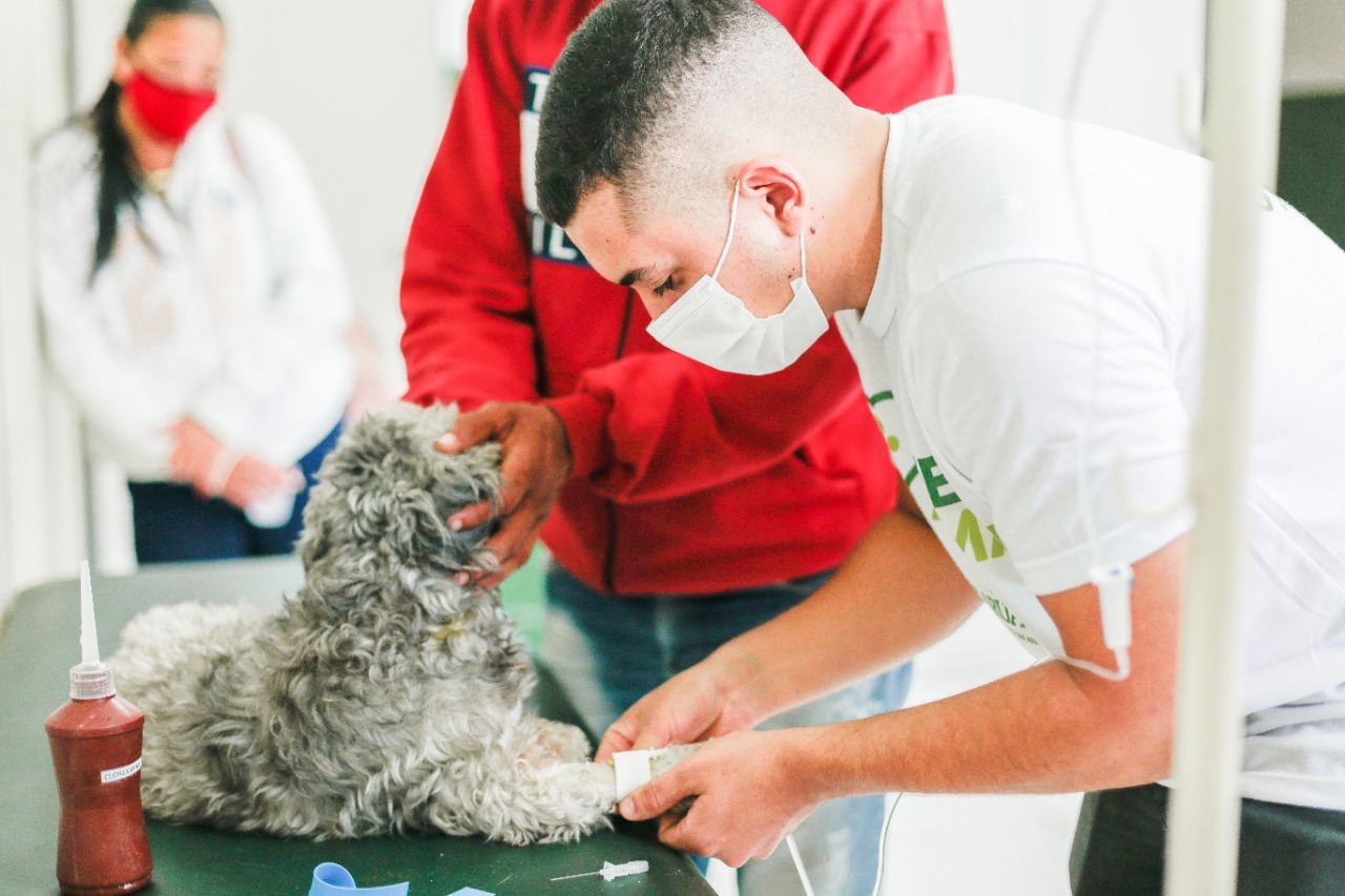 Prefeitura de Caruaru registra maior número de quimioterapias veterinárias e vacinação realizadas desde 2019./Foto: Elvis Edson