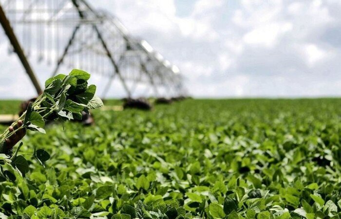 O agronegócio brasileiro é alvo de barreiras sanitárias/Foto: Breno Fortes/CB/D.A Press O agronegócio brasileiro é alvo de barreiras sanitárias/Foto: Breno Fortes/CB/D.A Press