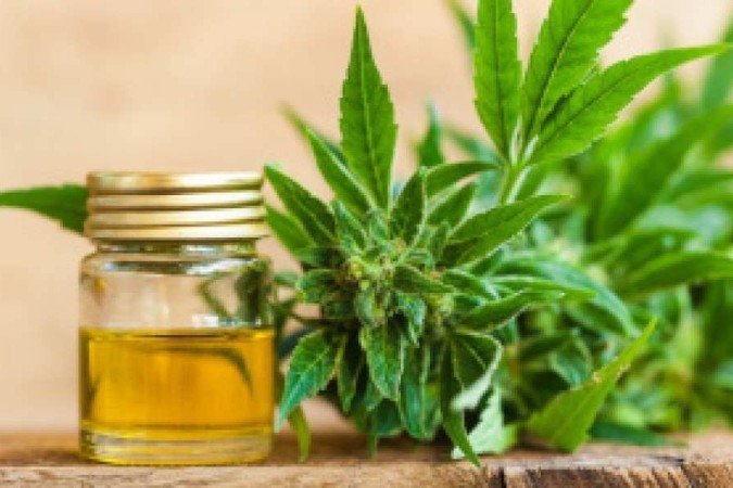 /Foto: medicalmarijuanainc/Reprodução /Foto: medicalmarijuanainc/Reprodução