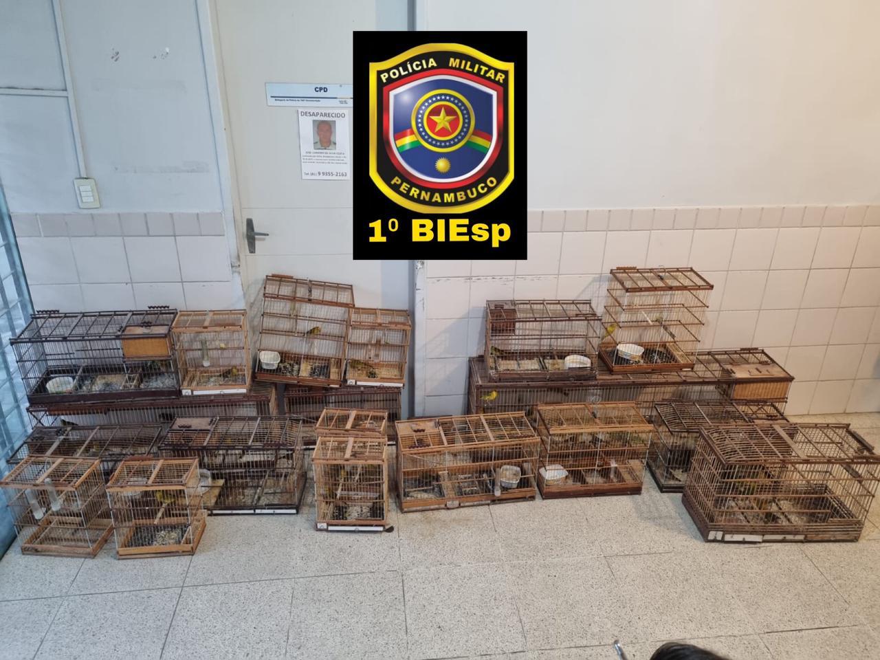 /PMPE/Divulgação /PMPE/Divulgação