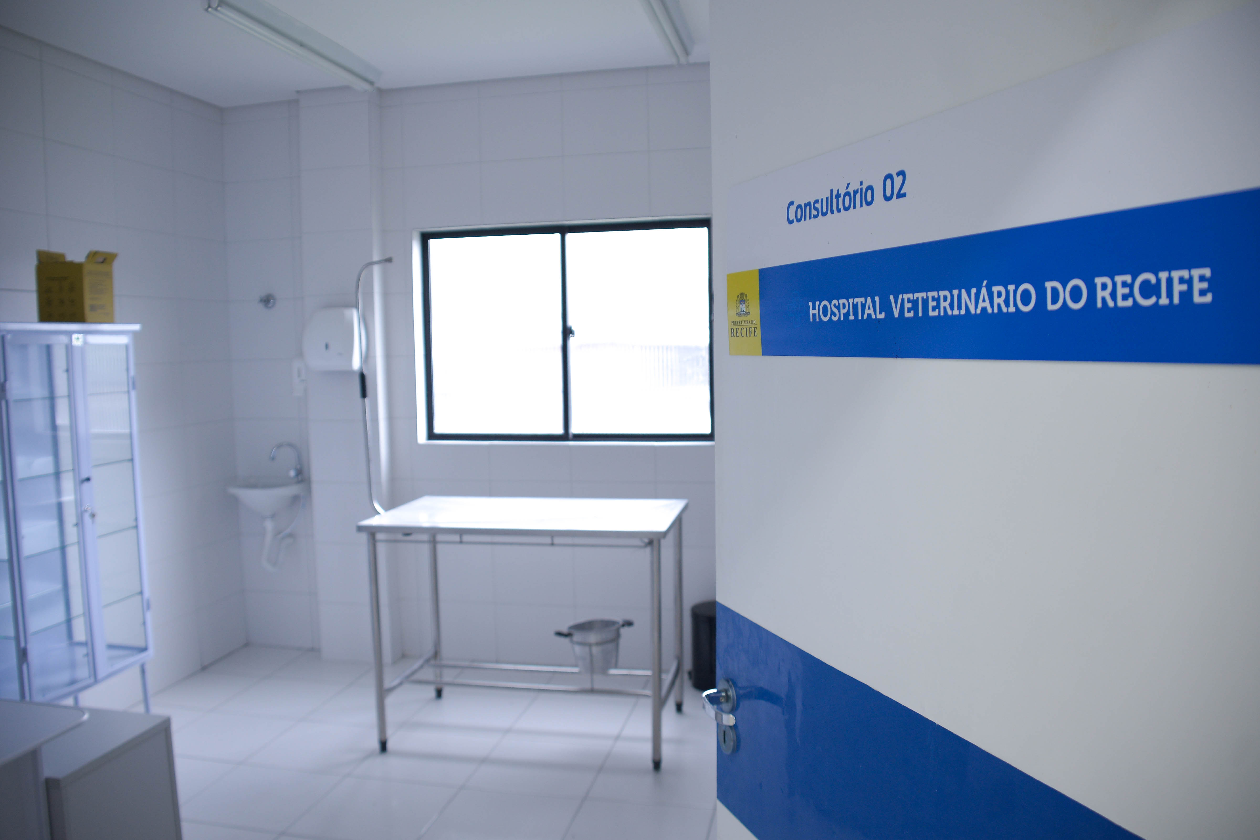 Nos dias 1º e 15, população deve acessar site da SEDA ou ligar para central telefônica e agendar procedimentos. Cirurgias ocorrem entre 2 de dezembro a 2 de janeiro de 2022./Daniel Tavares/Prefeitura do Recife Nos dias 1º e 15, população deve acessar site da SEDA ou ligar para central telefônica e agendar procedimentos. Cirurgias ocorrem entre 2 de dezembro a 2 de janeiro de 2022./Daniel Tavares/Prefeitura do Recife