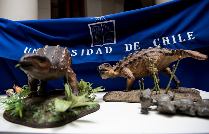 /Foto: Martin BERNETTI / AFP /Foto: Martin BERNETTI / AFP