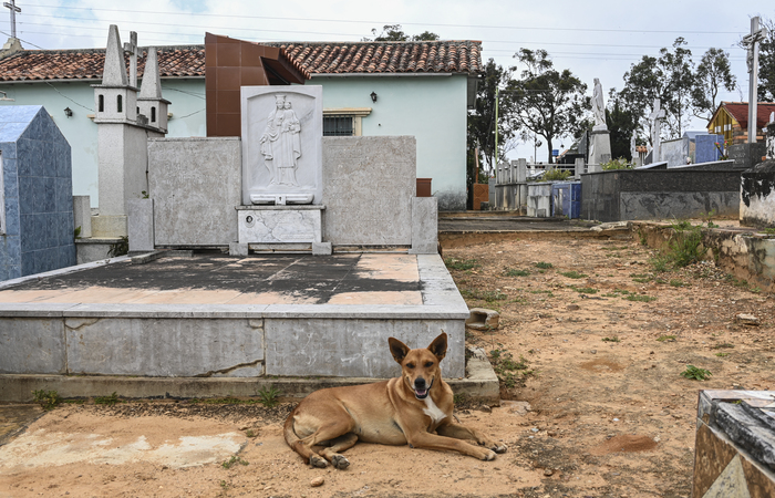 /Foto: Yuri CORTEZ / AFP