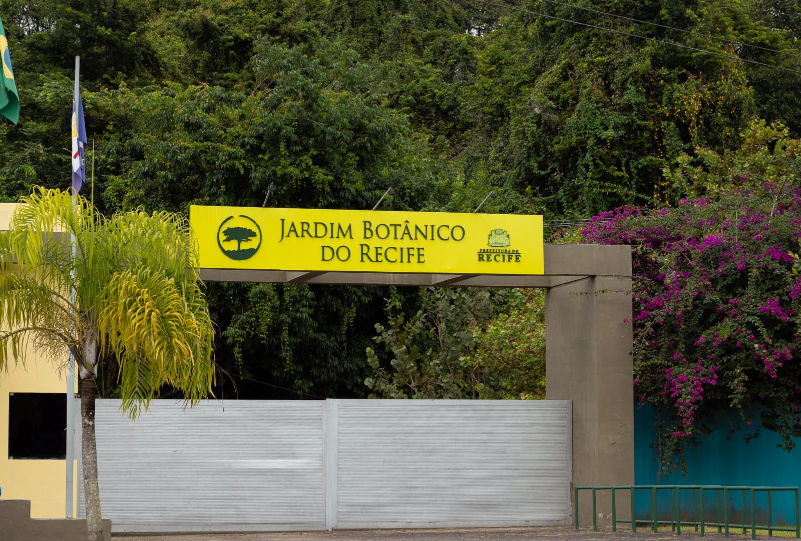 /SMAS/Divulgação /SMAS/Divulgação