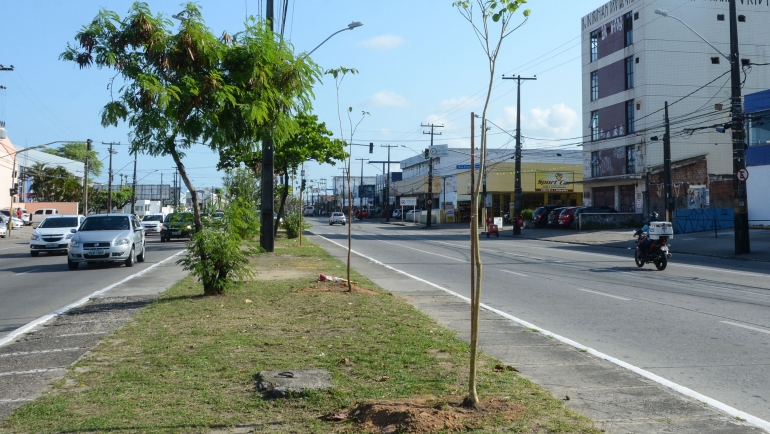 /Os trabalhos começarão no dia 3 de janeiro e substituirão 22 placas na altura do cruzamento com a Rua Jamaica (Inaldo Lins/Arquivo PCR).