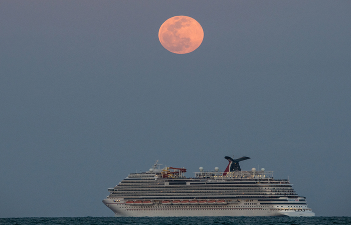 /Foto: CHANDAN KHANNA / AFP /Foto: CHANDAN KHANNA / AFP