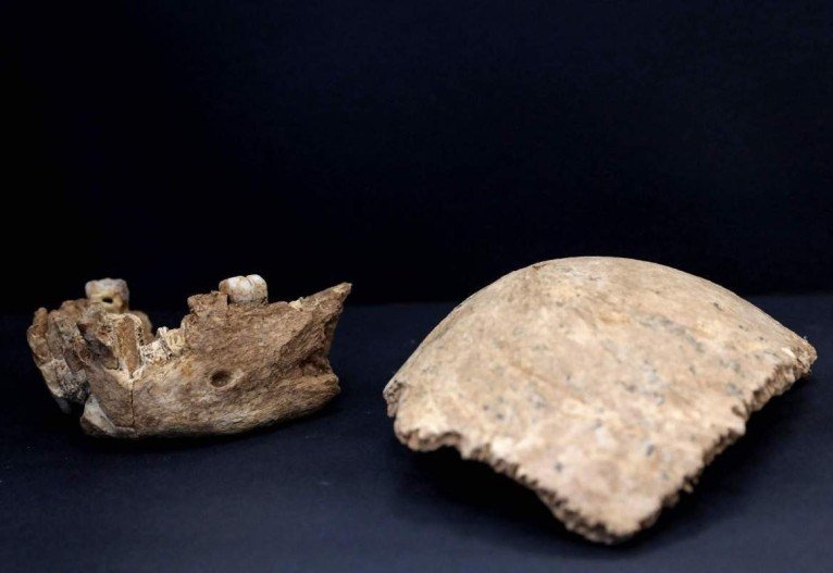 Com 140 mil a 120 mil anos, os fósseis do Homo Nesher Ramla têm características dos neandertais, como as mandíbulas, e do Homo arcaico, em especial, o crânio