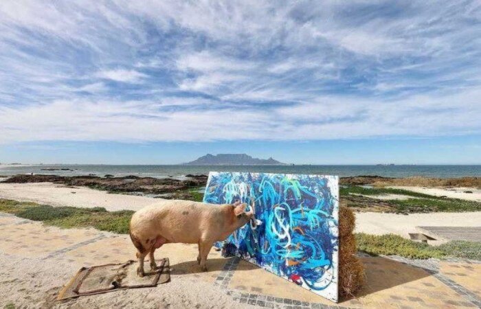 Com cinco anos de carreira e quadro expostos em galeria, valor faturado é recorde para pintura animal/Foto: Reprodução/Instagram