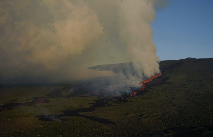 /Foto: PARQUE NACIONAL GALAPAGOS / AFP /Foto: PARQUE NACIONAL GALAPAGOS / AFP