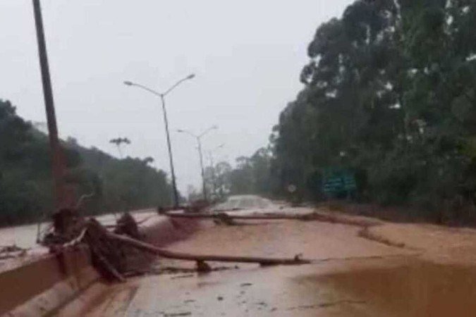 /Foto: Reprodução
