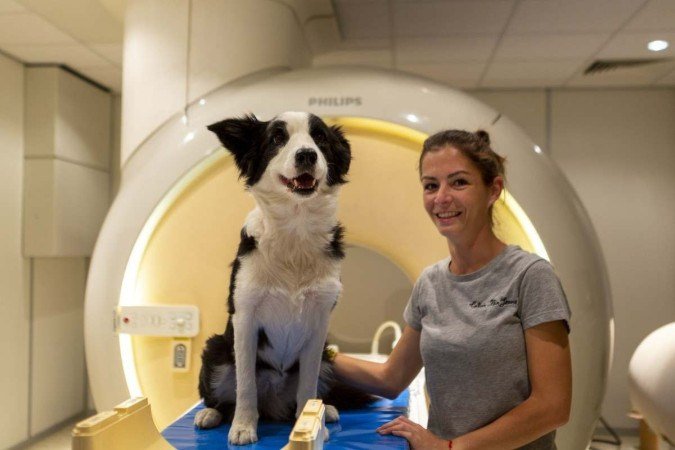 /Habilidade é revelada em análise do cérebro de 18 cachorros enquanto eles ouviam o tutor e uma língua desconhecida. Foto: Grzegorz Eliasiewicz/Divulgação