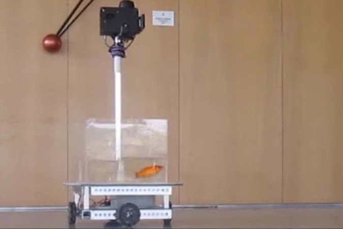 /O veículo utilizado para a pesquisa conta com um tanque de água e segue a direção que o peixe desejar. Foto: Reprodução/LiveScience/YouTube /O veículo utilizado para a pesquisa conta com um tanque de água e segue a direção que o peixe desejar. Foto: Reprodução/LiveScience/YouTube