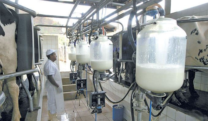 Expectativa é de que a central de qualidade se torne referência para a formação de mão de obra/Humberto Nicoline/Embrapa