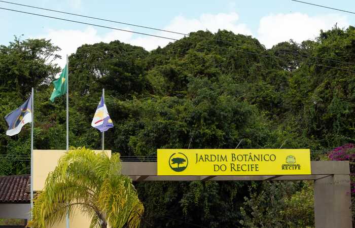 /Pesquisa Flora do Brasil 2020, coordenada pelo Jardim Botânico do Rio de Janeiro, durou cerca de 12 anos. Foto: Divulgação/SMAS. /Pesquisa Flora do Brasil 2020, coordenada pelo Jardim Botânico do Rio de Janeiro, durou cerca de 12 anos. Foto: Divulgação/SMAS.