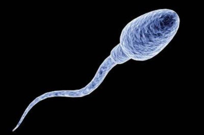 /Foto: University of MontrealMaisonneuve-Rosemont Hospital Research Center