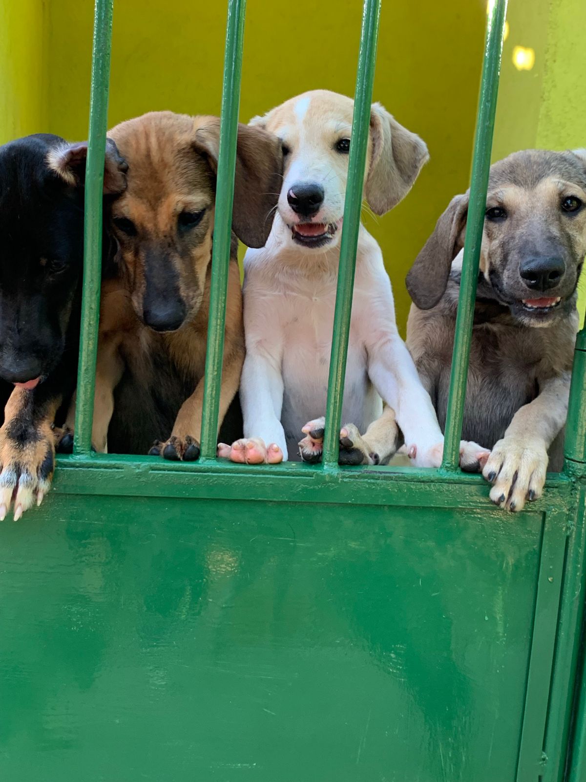/Foto: Divulga&ccedil;&atilde;o