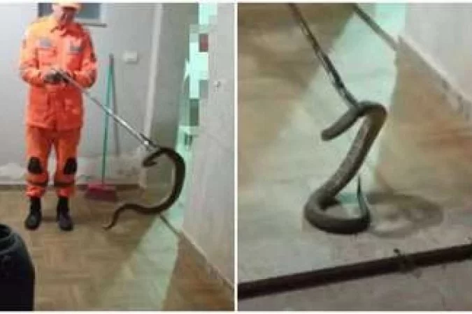 /Foto: Corpo de Bombeiros/Divulgação /Foto: Corpo de Bombeiros/Divulgação