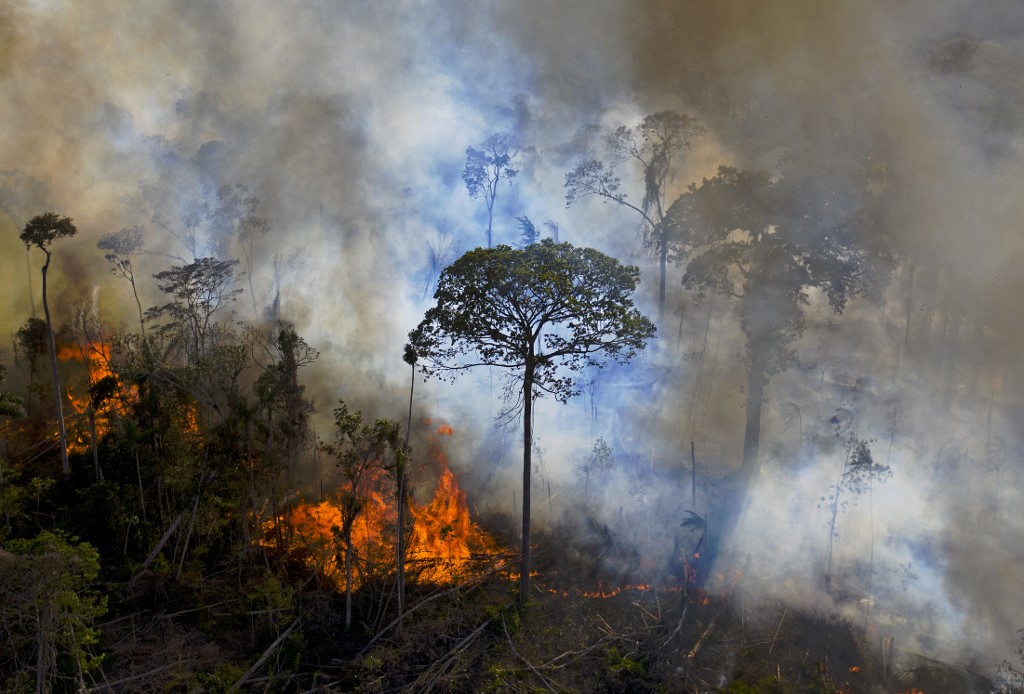 /Foto: Carl de Souza/AFP /Foto: Carl de Souza/AFP