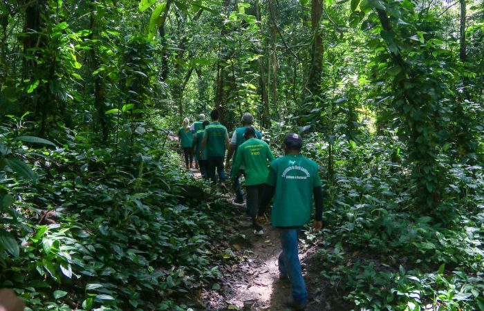 Estudantes do mestrado em Ciência Florestal da UFRPE participarão da atividade/Divulgação Estudantes do mestrado em Ciência Florestal da UFRPE participarão da atividade/Divulgação
