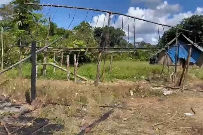 /Foto: Condisi-YY/Divulgação