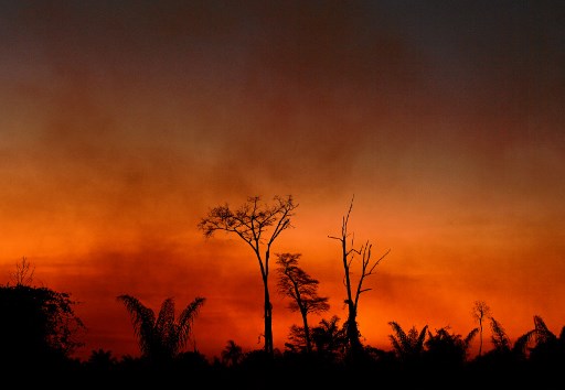 /Foto: CARL DE SOUZA / AFP /Foto: CARL DE SOUZA / AFP
