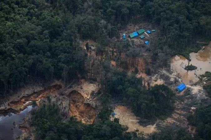 /Foto: Bruno Kelly/Amazônia Real /Foto: Bruno Kelly/Amazônia Real