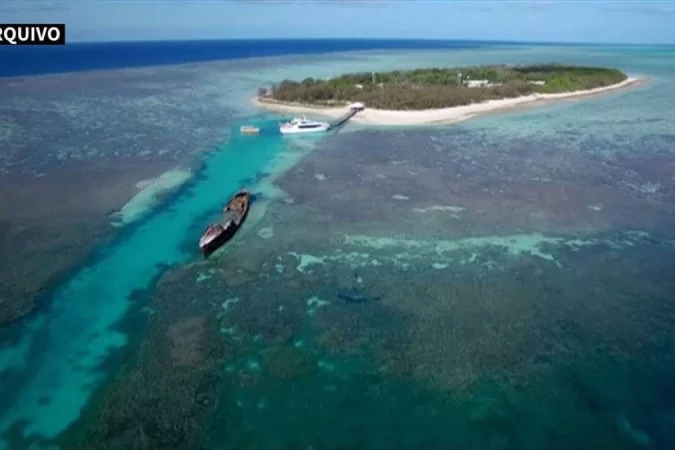 /Foto: Great Barrier Reef Foundation / TESS MARIORITY/UNIVERSITY OF NEWCASTLE / AFP /Foto: Great Barrier Reef Foundation / TESS MARIORITY/UNIVERSITY OF NEWCASTLE / AFP
