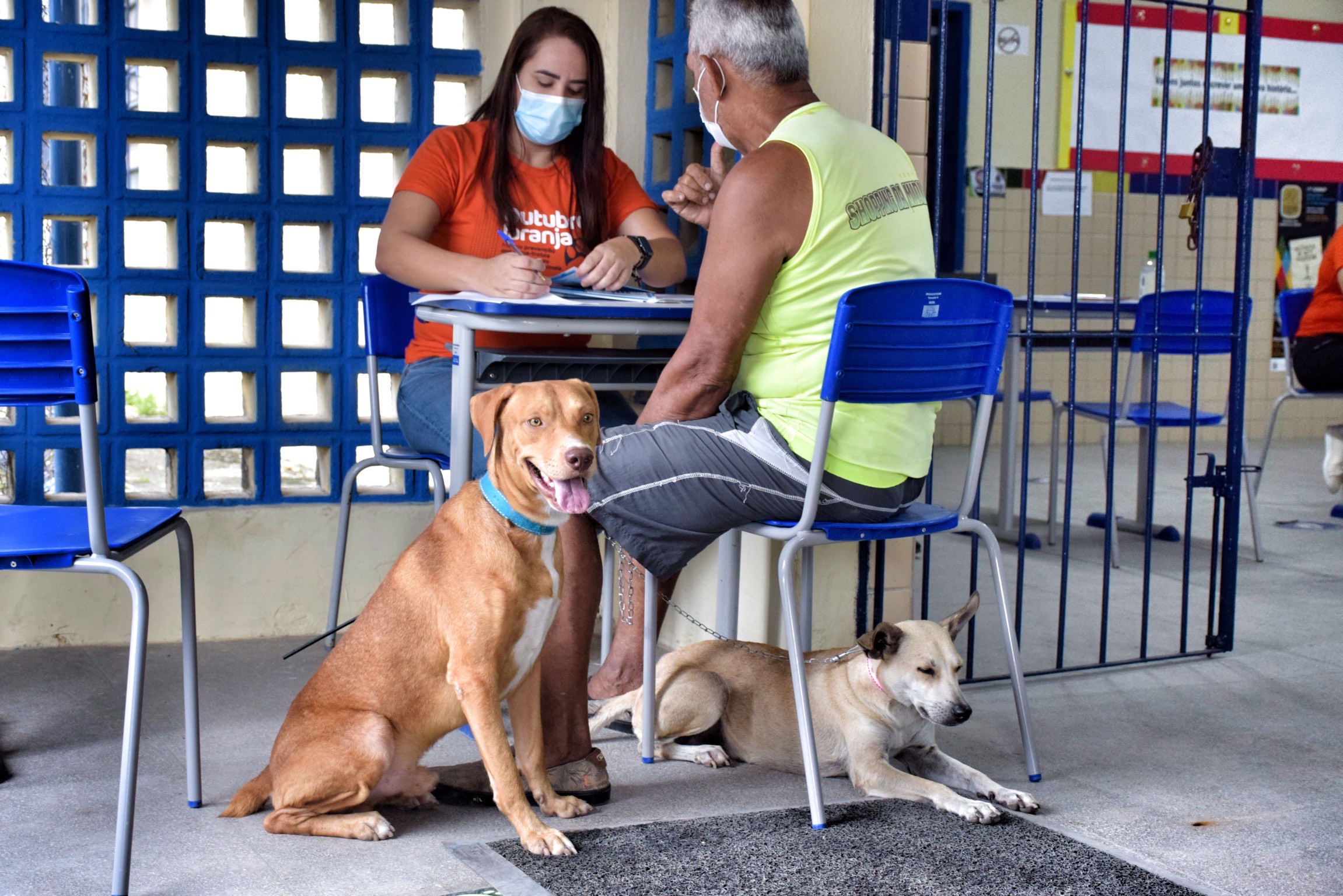 Ação conjunta das Secretarias Executiva de Direito dos Animais (SEDA) e de Saúde incentiva vacinação antirrábica e denúncia de maus-tratos./PCR/Divulgação