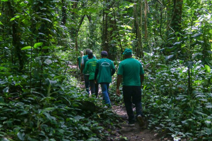 A Secretaria Executiva de Planejamento Ambiental de Olinda montou uma programa&ccedil;&atilde;o para este s&aacute;bado, na Mata do Passarinho (Reserva de Floresta Urbana - FURB), com o refor&ccedil;o de servi&ccedil;os de sa&uacute;de./PMO