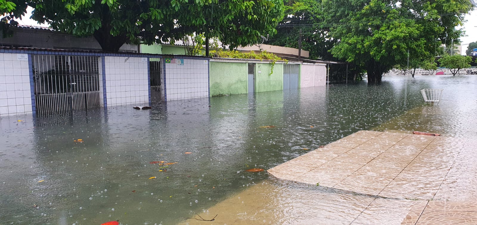 /Foto: Divulgação /Foto: Divulgação