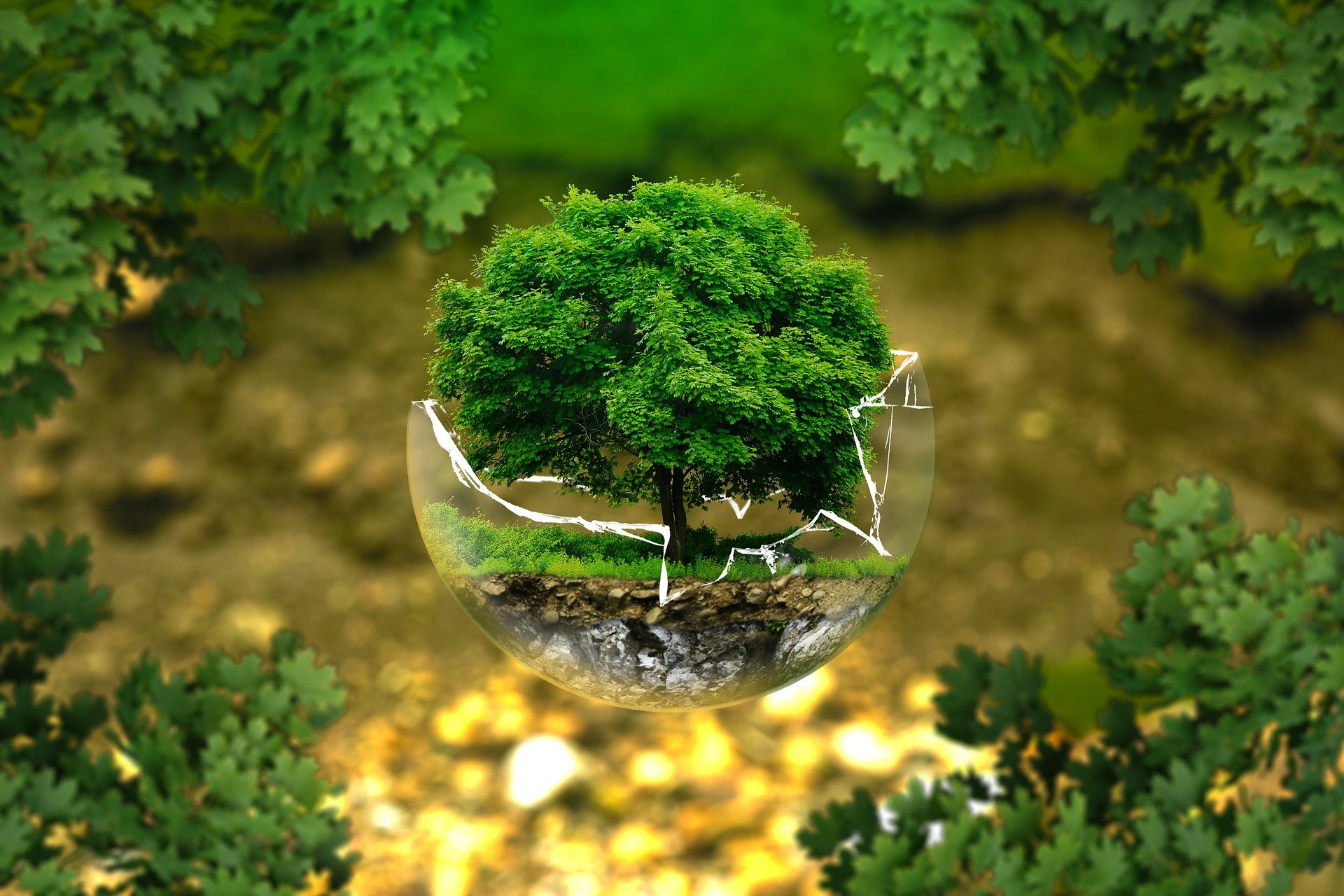 /Pixabay / Reprodução