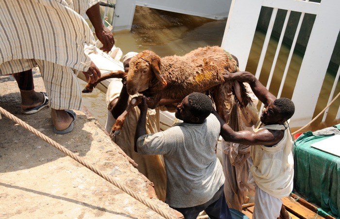/AFP /AFP