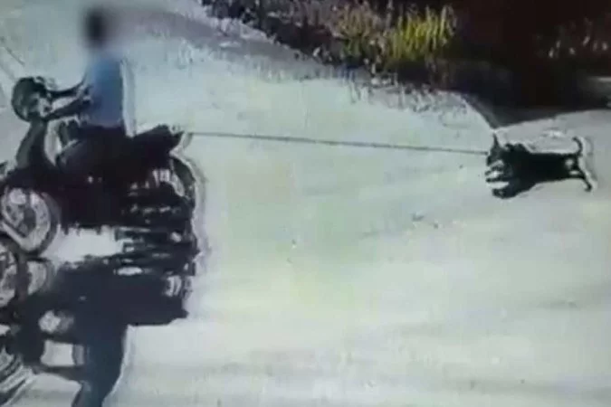 /crédito: Divulgação/Polícia Civil /crédito: Divulgação/Polícia Civil