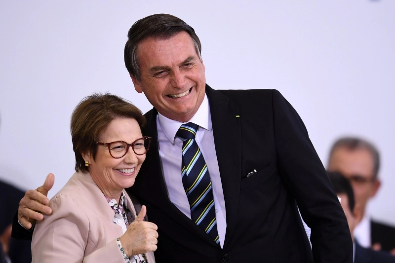 /Os dois deixaram os cargos de ministros para concorrer a cargos eletivos no pleito de 2022. Foto: Evaristo Sá/AFP
