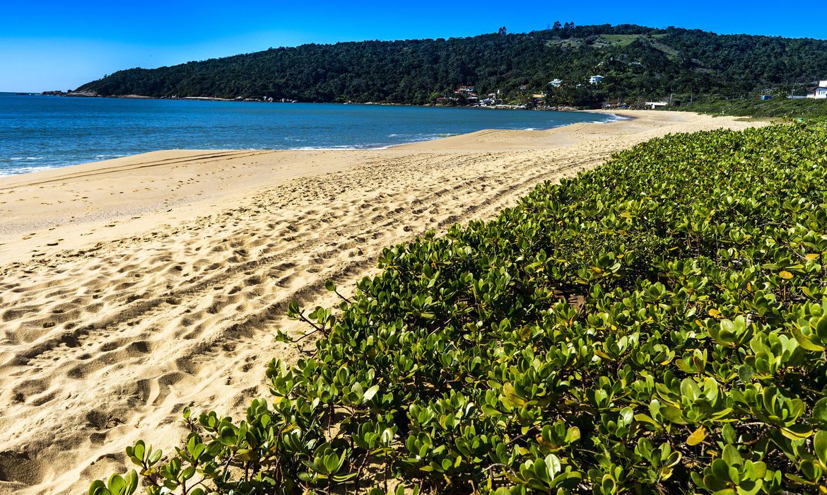 /Foto: Prefeitura de Balneário Camboriú/Divulgação