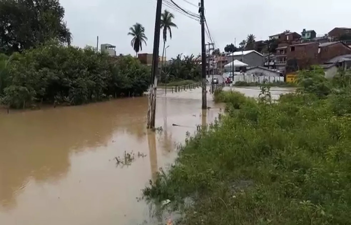 /Foto: Reprodução/WhatsApp