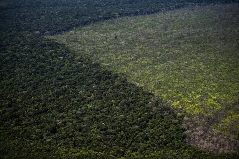 /foto: MAURO PIMENTEL/AFP /foto: MAURO PIMENTEL/AFP