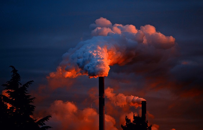 (Foto: Reprodução/Pixabay) /Foto: Reprodução/Pixabay