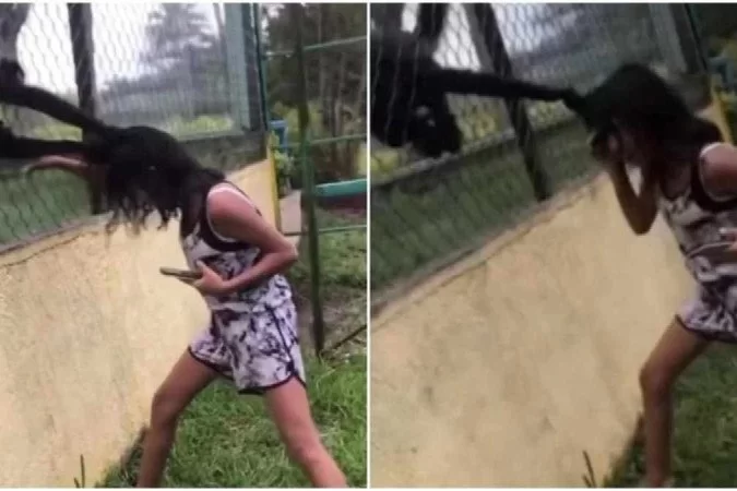 /crédito: Reprodução/Tiktok /crédito: Reprodução/Tiktok