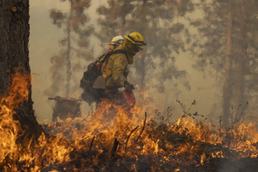 /Foto: DAVID MCNEW / AFP /Foto: DAVID MCNEW / AFP
