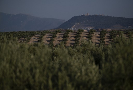 /Foto: PIERRE-PHILIPPE MARCOU / AFP