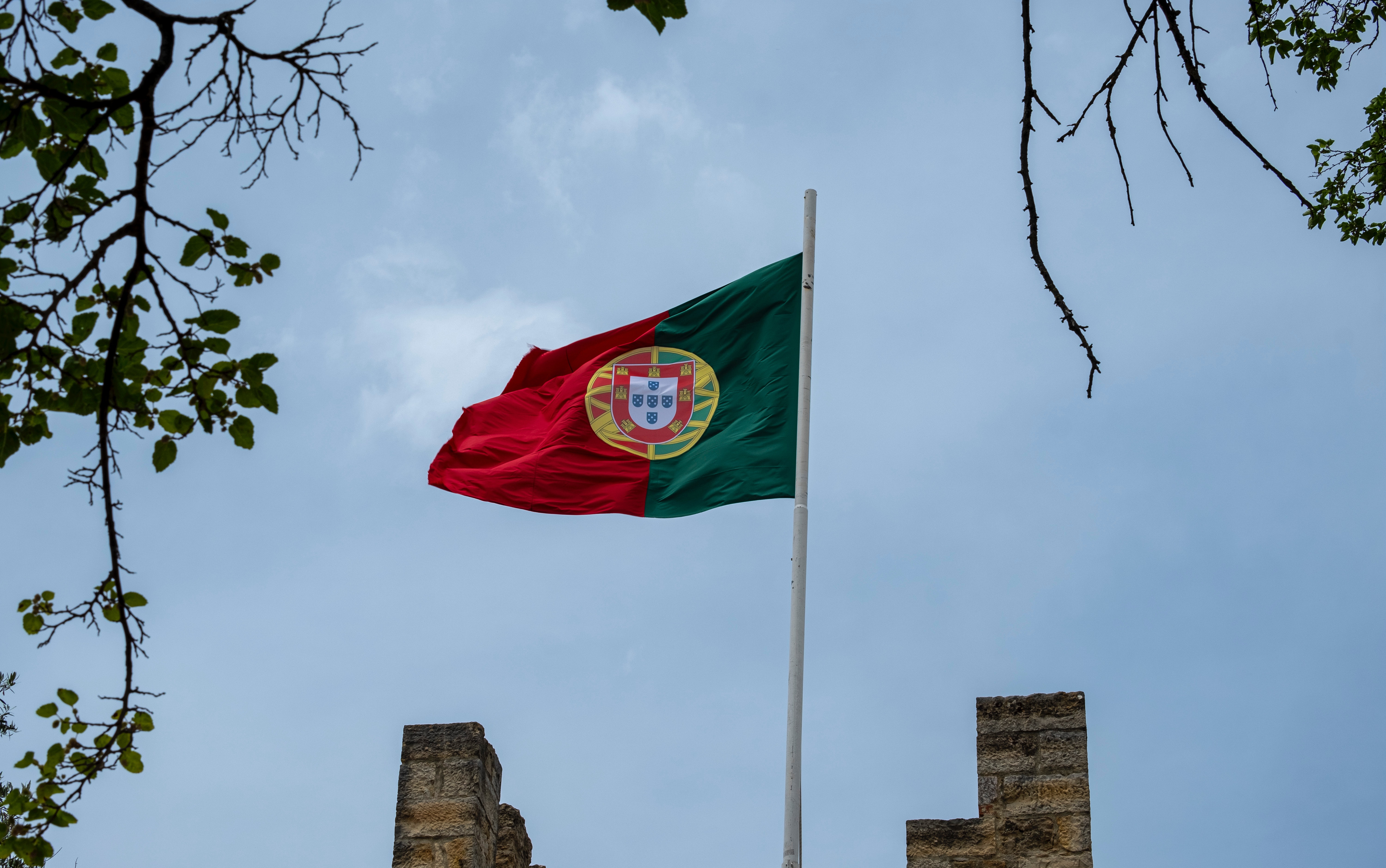/Foto: ElsaR silva/Pexels