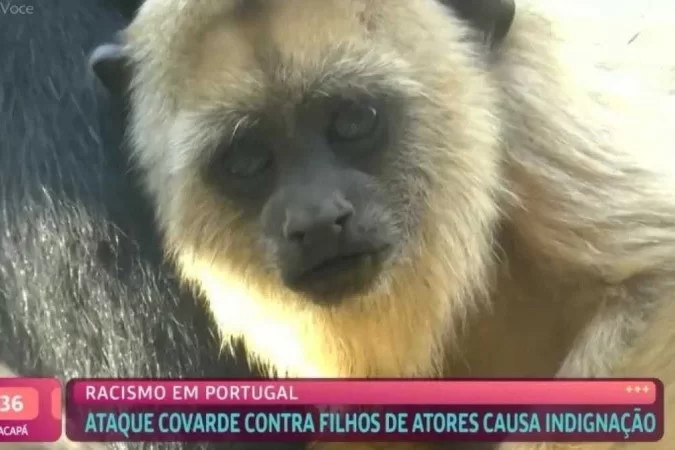 /crédito: Reprodução/TV Globo
