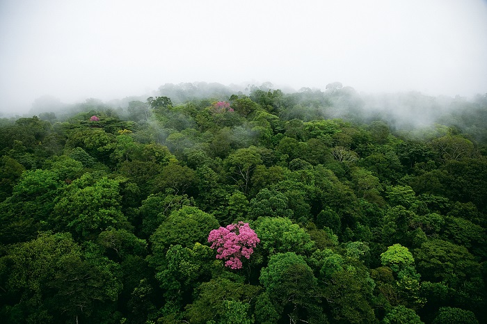 /Foto: Yann Arthus-Bertrand/Al /Foto: Yann Arthus-Bertrand/Al