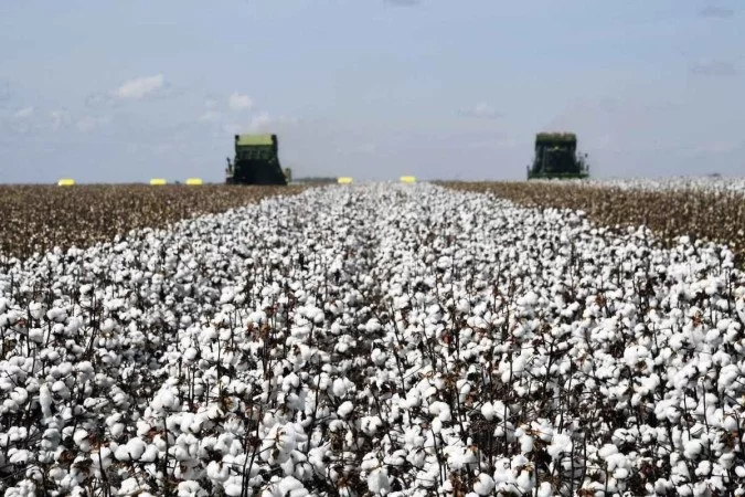 /Foto: EVARISTO SA / AFP /Foto: EVARISTO SA / AFP
