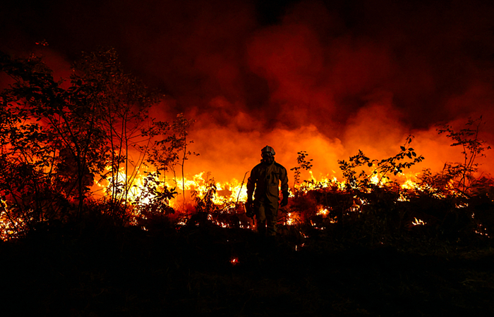 /Foto: AFP /Foto: AFP