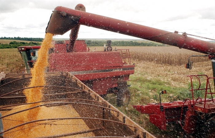 Bom desempenho também é projetado para os mercados de milho, arroz, feijão e algodão/Arquivo/Agência Brasil Bom desempenho também é projetado para os mercados de milho, arroz, feijão e algodão/Arquivo/Agência Brasil