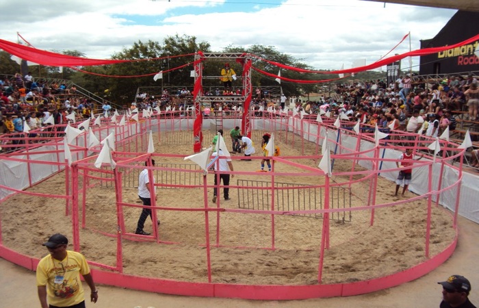 /Foto: Divulgação. /Foto: Divulgação.