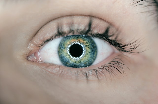/Foto: Arteum.ro/Unsplash /Foto: Arteum.ro/Unsplash